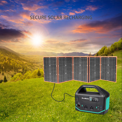 EcoWale-DW501 Portable Power Station (555Wh)